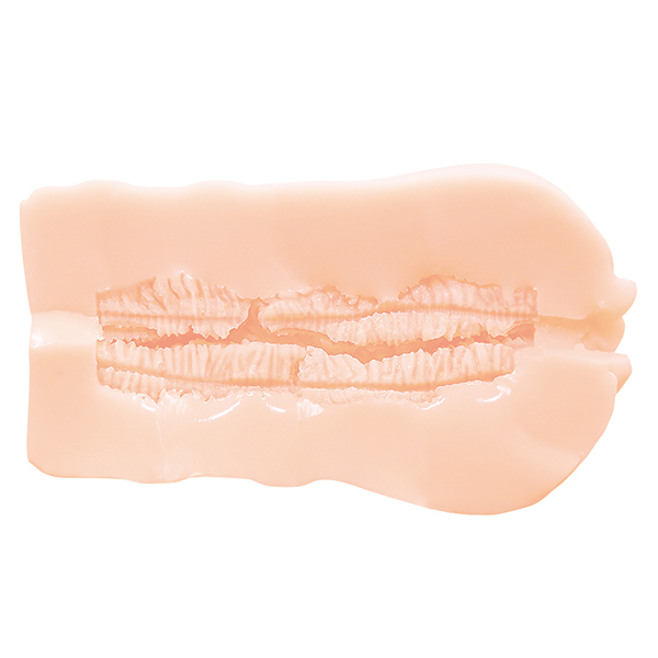 yPXXO~ʌz͓֊탁ChɂȂƓzꐾ񏑂ɃTC܂llP_聄